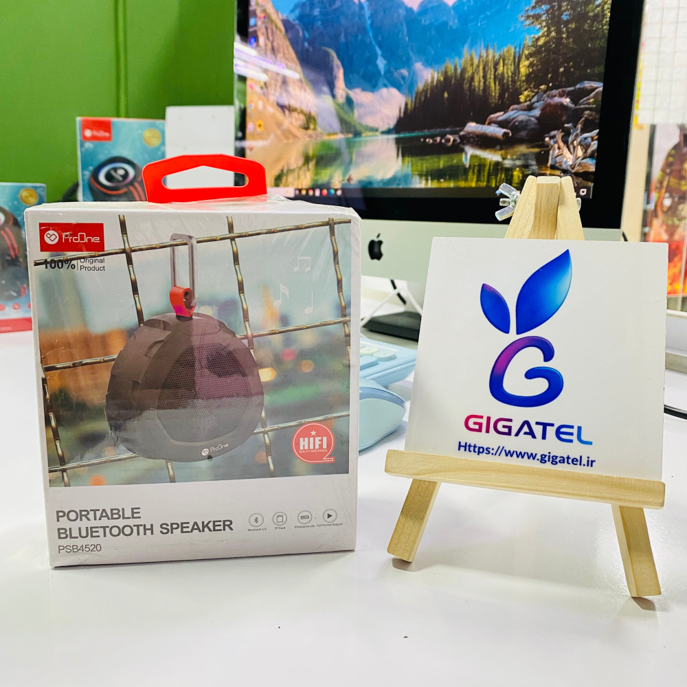 اسپیکر ProOne PSB-4520 | بلندگوی ضد آب کامل IPX6 | 20 وات | مناسب استخر و ساحل - نمای کلی