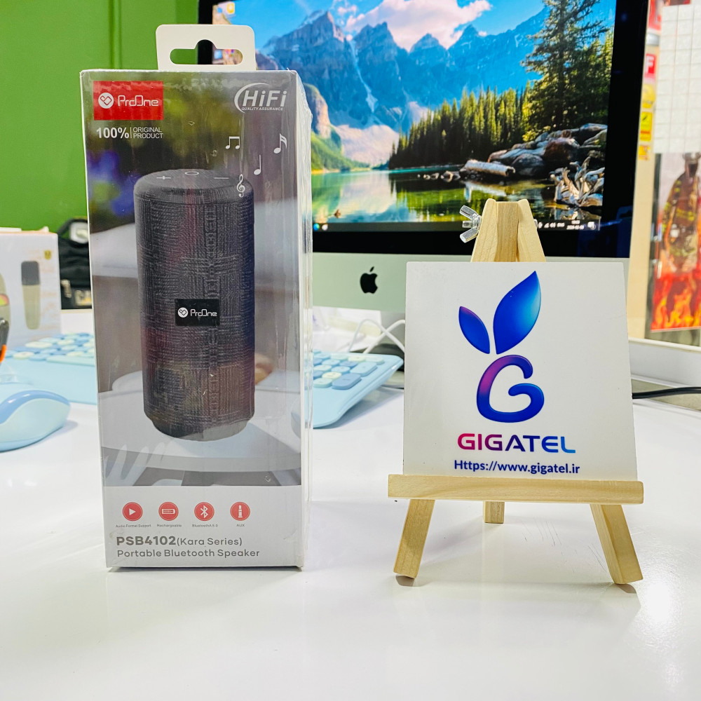 اسپیکر پرووان مدل 4102 | بلندگوی قابل حمل | بلوتوث 5.0 | باتری 8 ساعته - نمای کلی