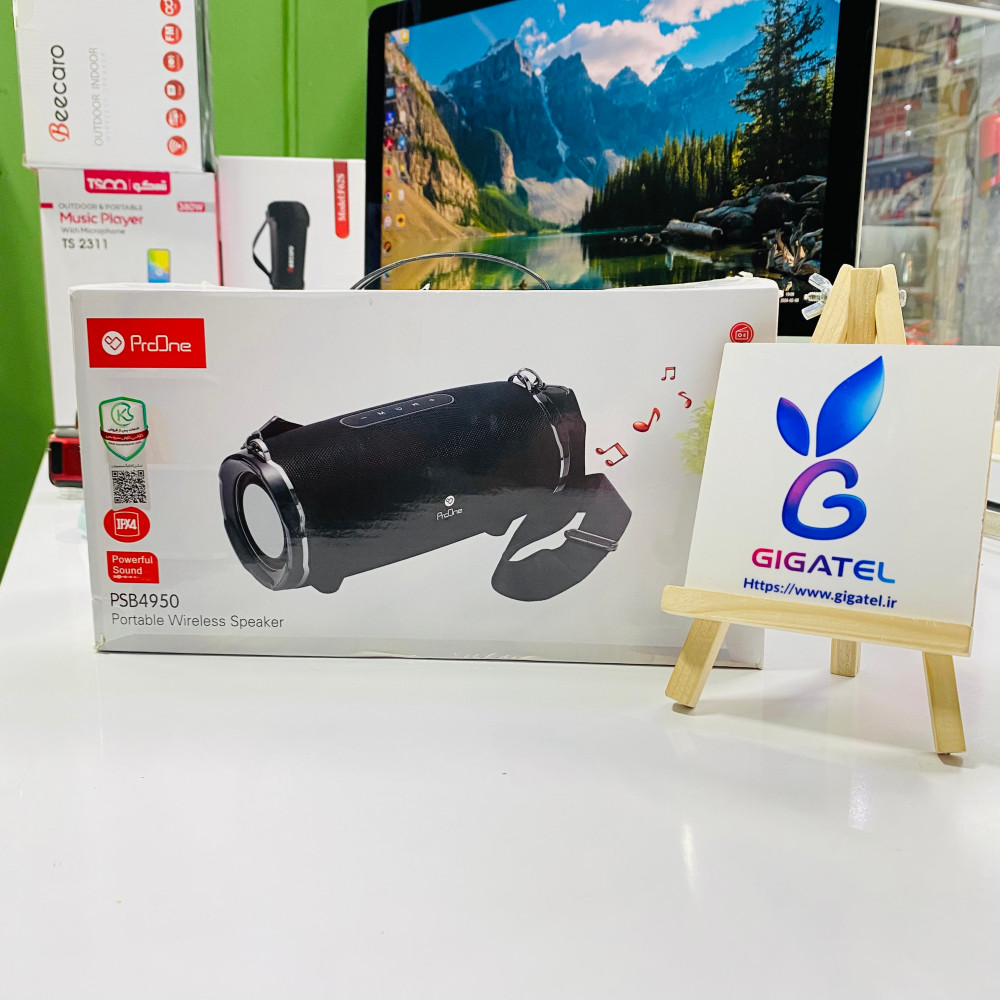 اسپیکر پرووان مدل 4950 | بلندگوی پاور 30وات | میکروفون دار | باتری قدرتمند  4400 - نمای کلی
